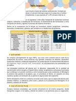 Histologia Del Tejido Sanguineo y Linfatico