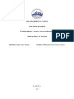 Unilúrio Business School Mestrado em Agronegócio Trabalho de Gestão e Inovação Nas Cadeias Industriais Cadeia Produtiva Da Mandioca