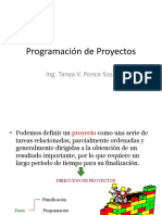 Programación de Proyectos