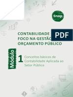 Contabilidade Com Foco Na Gestão Do Orçamento Público