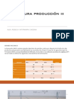 Auxiliatura Produccion III 2