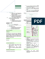 Fractura de Base de Primer Metacarpiano