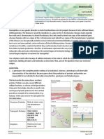 Fixing Gene Expression Activity Student Handout