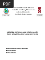 6.5 Tarea: Metodología de Aplicación en El Desarrollo de La Consultoría