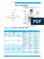 Módulo 38 : Nutrição e Digestão (II)