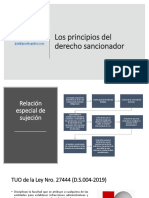 Los Principios Del Derecho Sancionador - Icj