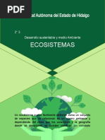 Tipos de Ecoistemas