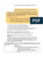 ¿Qué Es Un Sistema de Protección de Los Derechos Humanos?