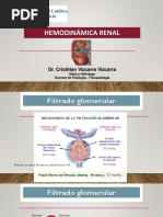 Hemodinamica Renal