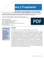 Diálisis y Trasplante: Enfermedad Renal Asociada A Gammapatías Monoclonales