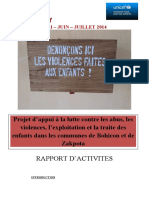 Rapport D'Activites