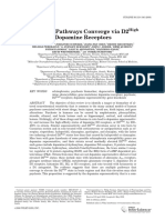 Psychosis Pathways Converge Via D2 High Dopamine Receptors - Seeman