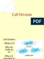 Mitosis and Meiosis