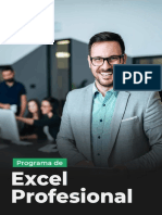 Programa De: Excel Profesional