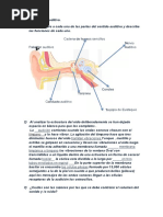 Tarea 216