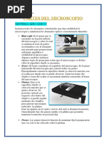 INFORME Micros