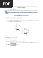 S3 - MM - HDT - Carbohidratos II