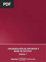 Organización de Archivos Y Base de Datos Ii: Unidad 1