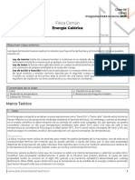 Física Común: Energía Calórica