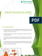 Capacitacion Pulgones