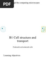 Prokaryotic and Eukaryotic Cells 9UW