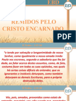 Remidos Pelo Cristo Encarnado 01 11 2015