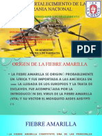 Fiebre AMARILLA