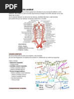 Irrigacion