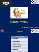 Cáncer de Páncreas: R. Alejandro Espinosa Campos Cirujano Oncólogo