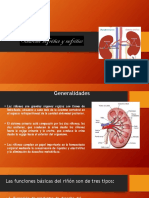 Sindrome Nefrótico y Nefrítico