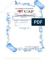 PDF Documento