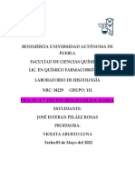 Practica 7. Tinción Hematoxilina-Eosina