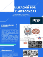 Esterilización Por Ondas Y Microondas