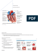 Cardio and Respi Reviewer