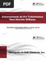 Entrenamiento de Pre Tratamientos para Sherwin Williams: BCI Surface Technologies México, S. de R.L. de C.V