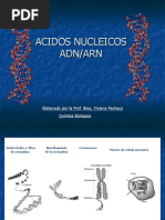 Acidos Nucleicos