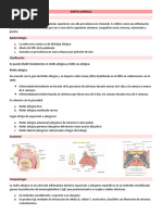 RINITIS ALERGICA-Guion