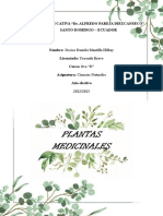 Plantas Medicinales: Unidad Educativa "Dr. Alfredo Pareja Diezcanseco" Santo Domingo - Ecuador