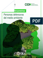 CIDH NorteCentroamerica MedioAmbiente ES