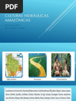 Culturas Hidráulicas Amazónicas