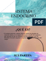 Sistema Endocrino