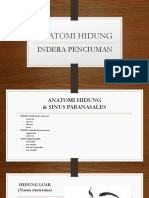 Anatomi Hidung: Indera Penciuman