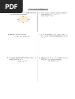 Tarea de Expresiones Algebraicas