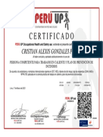 Certificado: Cristian Alexis Gonzales Pablo