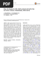 Bone Development of The Skull, Pectoral and Pelvic Fins