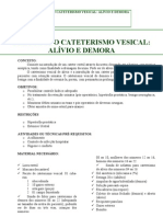 4 Protocolo Cateterismo Vesical Alívio e Demora