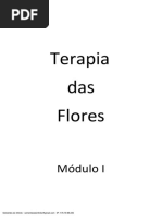 Modulo I Terapia Das Flores