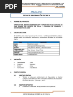 Ficha de Informacion Tecnica