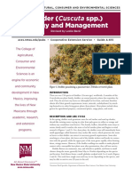 Dodder (Cuscuta SPP.) Biology and Management: College of Agricultural, Consumer and Environmental Sciences