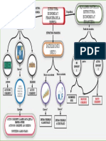 Mapa Mental Estructura Economica y Financiera e Una Empresa